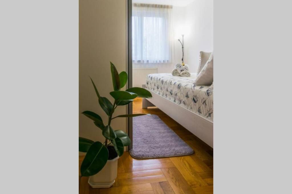 Apartment Jarun Brac زغرب المظهر الخارجي الصورة